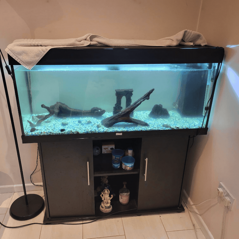 Tropical to marine tank conversion process